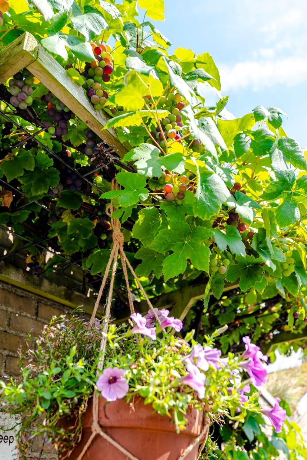 B&B De Ranck Haarlem Ngoại thất bức ảnh